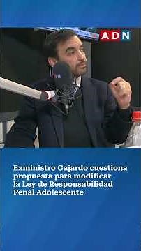 Gajardo criticizes proposal to modify the Adolescent Criminal Responsibility Law