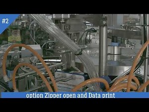 Premade Pouch Rotary Packing Machine work flow