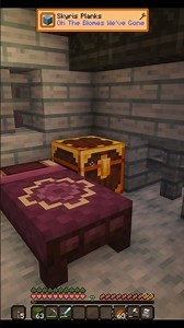 Favorite Mod Alert: Oh The Biomes We've Gone ✨ Forever World ✨ Dreamfoil: CurseForge Pack ✨ ch8