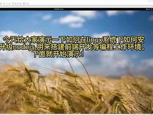 linux系统下最全面的nodejs安装升级教程! #linux #nodejs #软件升级 #vue.js
