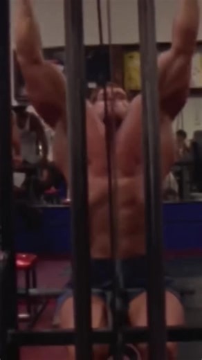 Bodybuilding Techniques and Competition Highlights