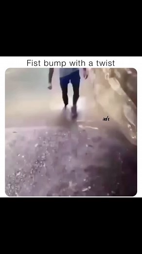 Inde on Instagram: "Don’t know who was more scared, the frog or the person🤣#funny #frog 🔈"