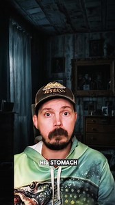 Why u should always close ur curtains at night curtains scarytiktoks closecurtains hauntedhouse creepystory True Stories#tiktok #shorts #viral #harrypotter #superhero #actor #celeb #celebrity #celeb | True Crime Tok03