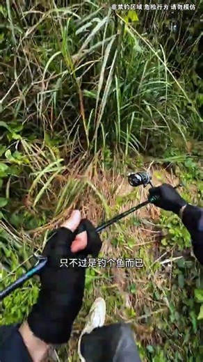 Why Lua the Game is a Hot New Trend in Sports