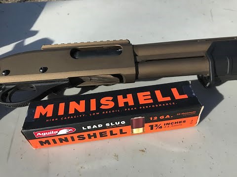 12 Gauge, 7/8 Oz Slug, 1-3/4" Aguila Mini Shells