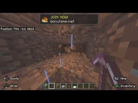 How to X ray on Minecraft 1 21+ WORKS ON BEDROCK + JAVA!