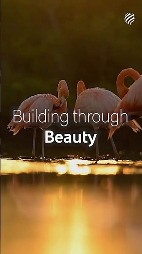 EVOLUTIO. Building through Beauty | Stavros Niarchos Foundation Cultural Center
