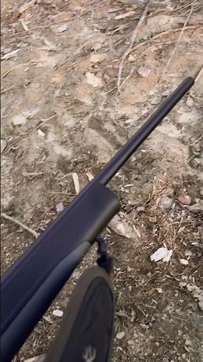 Browning bar 30/06 mk3