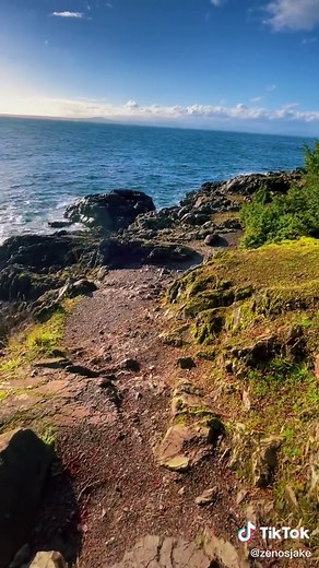 Discovering Lime Kiln Point State Park in Seattle