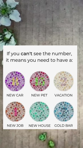 Color Patterns and Categories in Stunning Visuals