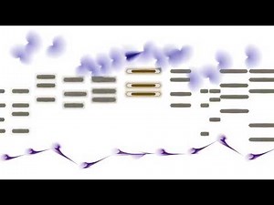 Satie, Gymnopédie No. 1