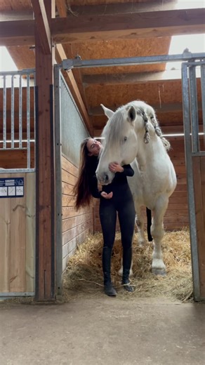 Une cavalière et son géant : amour équin