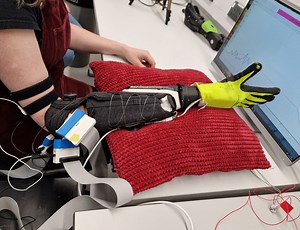 Merging motoneuron and postural synergies in prosthetic hand design for natural bionic interfacing