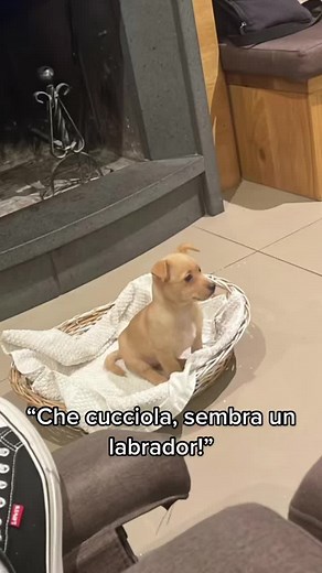 Simona Fusco su TikTok