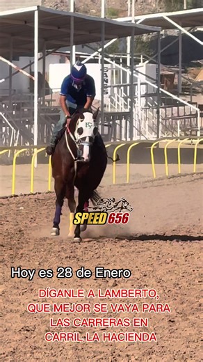 #28Enero #carrerasdecaballos #carrillahacienda