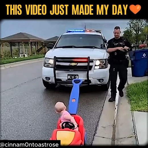 This video just made my day! #shorts #funny