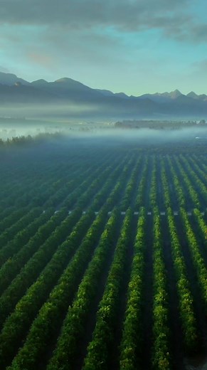 7.1M views · 53K reactions | Experience the forefront of farming with the MYOJA app. Whether it's real-time tracking, critical service alerts, or secure geo-fencing, this app unveils the essence of modern farming right now. Welcome to the future of farming, seamlessly integrated through the MYOJA app. #MahindraOJA #PowerhouseOfEnergy #FutureOfFarming #MahindraTractors #MYOJA | Mahindra Tractors | Facebook