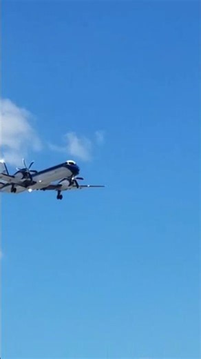 Freight Runners Express SAAB 2000 Landing #airplane #aviation #planespotting #aviationlovers #fyp