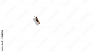 Orange Butterfly Flying on a Blue Background. 3d animation. 4K