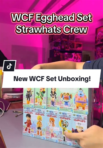 WCF Egghead Set Unboxing of Strawhats Crew