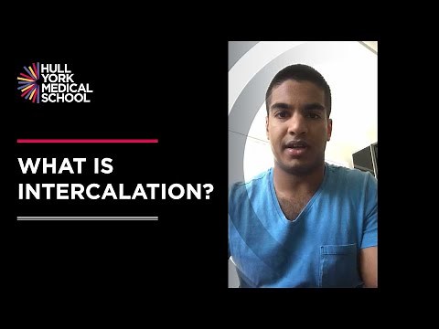 What is intercalation?