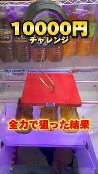 "島"史上一番獲れる淡路島のゲーセンで10000円チャレンジ！ #shorts #クレーンゲーム #ufoキャッチャー #cranegame