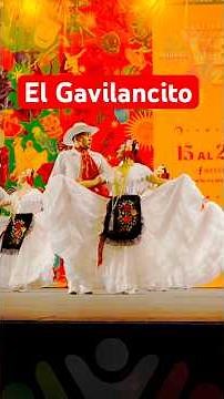 El Gavilancito (Son Jarocho) por el Ballet Folklórico de la Universidad Veracruzana