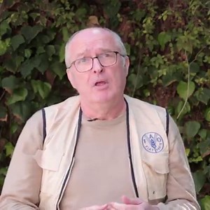 In Syria, we are helping build nurseries, distributing seeds, restoring irrigation systems so farmers can continue growing food, and get back on their feet amidst #COVID19 challenges. Mike Robson, FAO Representative in Syria, provides more info: https://bit.ly/2SkMpoS | Food and Agriculture Organization of the United Nations (FAO)