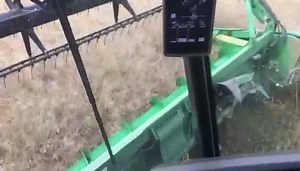 HRN Tractors T670 demo combine working well cutting rape with the 630X header, plus chopping straw | HRN Tractors Ltd