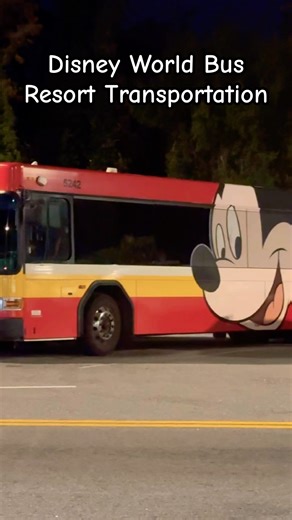 Walt Disney World Resort Bus Transportation #disney #bus #wdw #transportation #vehicles