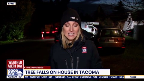 Strong winds knock down trees, cause widespread power outages in WA