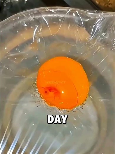 Saving a Turtle Without Its Shell!