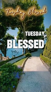 Tuesday Blessed Prayer #prayer #faith #faithingod #gratitude #motivation