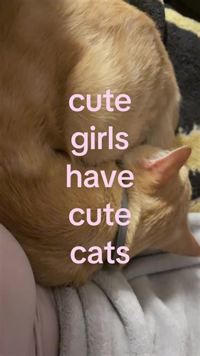 Cute Girls and Their Adorable Cats