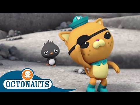 Octonauts - Kwazii Cat Helping Others | Cartoons for Kids | Underwater Sea Education