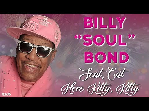 Billy Soul Bonds - Scat Cat Here Kitty Kitty (Lyric Video)