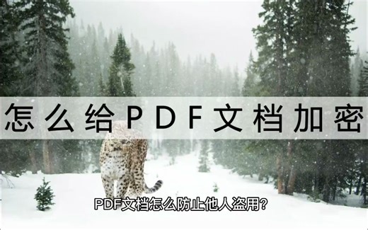 PDF文档怎么防止他人盗用？加个密码一键防盗