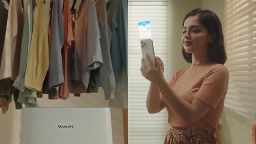 5 Best Dehumidifiers In 2025 For Any Home Size