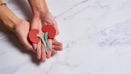 Memahami Ginjal, Fungsi, Cara Kerja, dan Cara Menjaganya Tetap Sehat