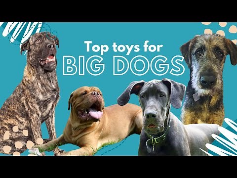 Canine Enrichment | Dog Toys for Large & Giant Breeds | Big Dog Top Picks, The Ultimate Toy Guide!