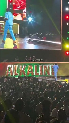Alkaline Performance at REGGAE FEST #live #concert