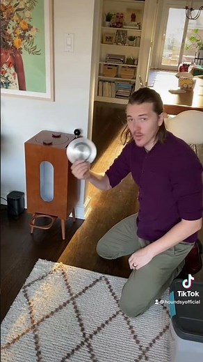 Houndsy Dog Feeder Setup. houndsy.con