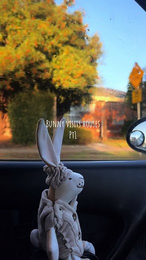 Revisit to bunny’s fave old home He likes the retro vibes #fyp #foryou #kidsshow #tvshow #rabbit #rabbitsoftiktok #bunny #entertainment #realestate #home #houses #cute #relatable