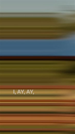 223 🤙🏻 #banshee | Everett Reeves