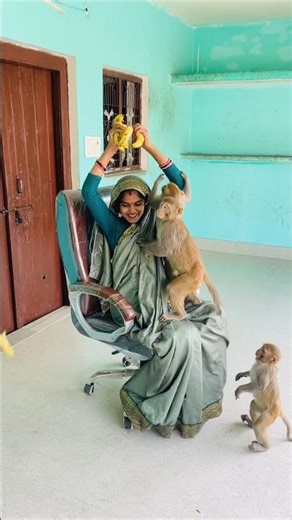 Feeding bananas to monkeys new awesome funny video 😂🐒 #animallife #monkeyclip