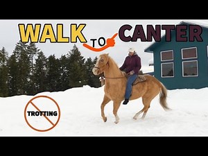 HOW TO TEACH A HORSE TO CANTER FROM THE WALK