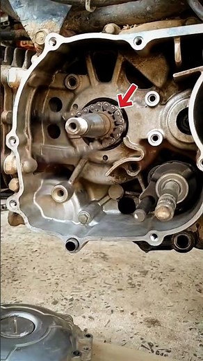 Install the timing chain! #youtube #shorts #foryou