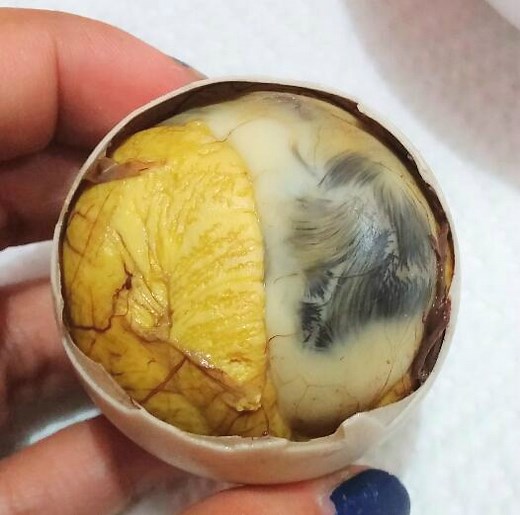 Balut: The Nutritious Duck Egg of the Philippines!