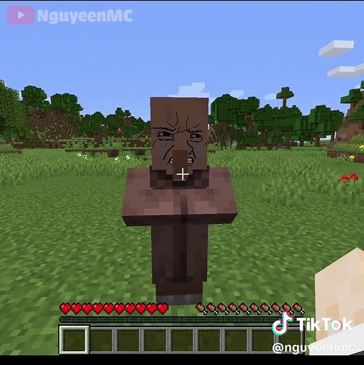 Hướng Dẫn Xây Dựng Nhà Trong Minecraft
