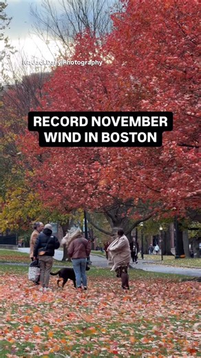 Boston hit record wind levels this November — but the real story is what caused it. Watch through for the breezy breakdown! 🌬️ 📚 #science #massachusetts #boston | Tevin Wooten